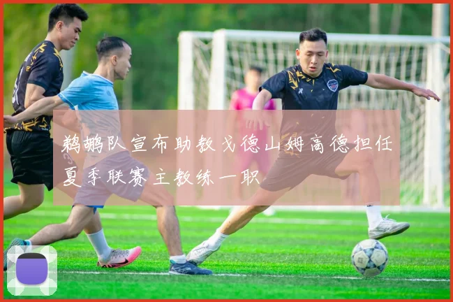 鹈鹕队宣布助教戈德山姆高德担任夏季联赛主教练一职